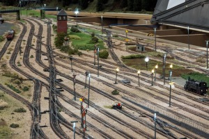 2024-01-27_006_WUMILA