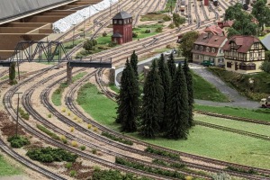 2024-03-07_009_WUMILA