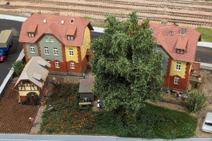 2024-03-07_013_WUMILA