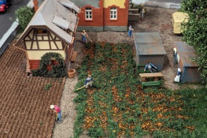 2024-05-29_004_WUMILA