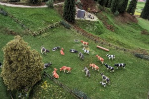 2024-05-29_008_WUMILA